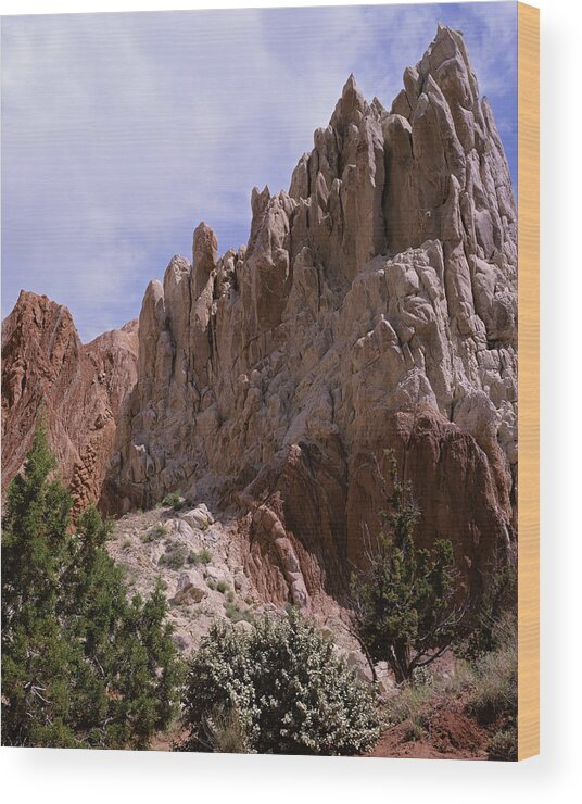 Utah Wood Print featuring the photograph Cottonwood Spires #2-V by Tom Daniel
