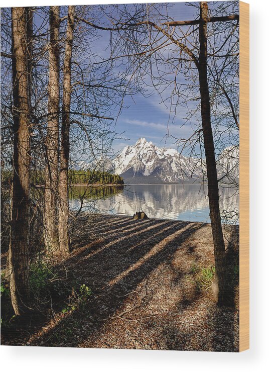 Grand Teton National Park Wood Print featuring the photograph Coulter Bay at Grand Teton National Park by Jack Bell