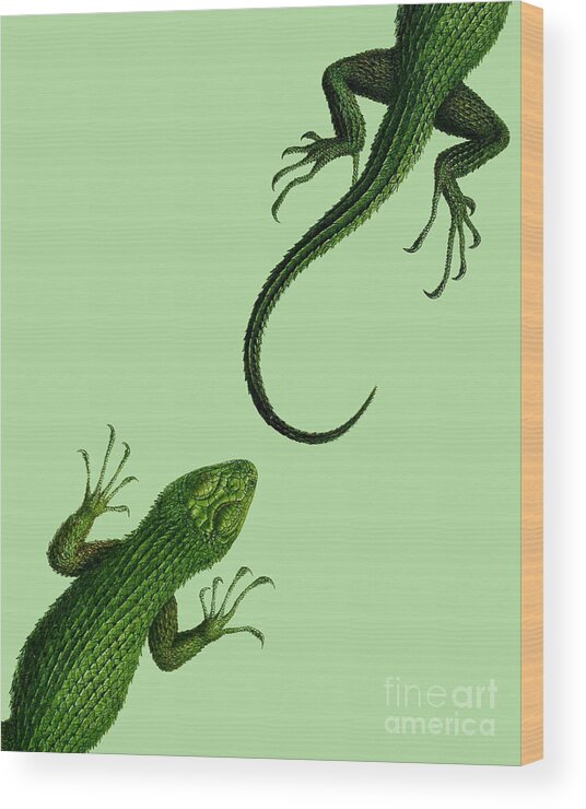 Lizard Wood Print featuring the digital art Crawling Reptiles by Madame Memento