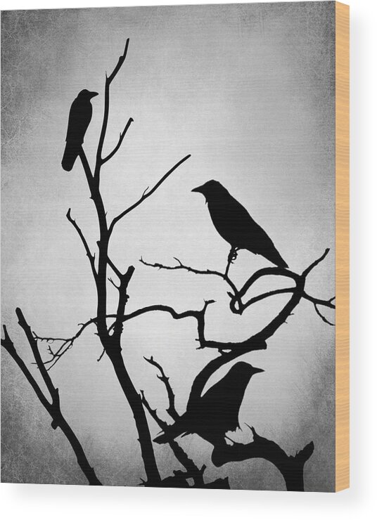 Bird Wood Print featuring the digital art Crow Birds on Trees Bird 89 by Lucie Dumas