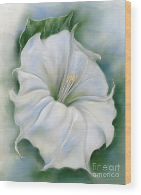 Botanical Wood Print featuring the painting Datura Blossom White Flower by MM Anderson