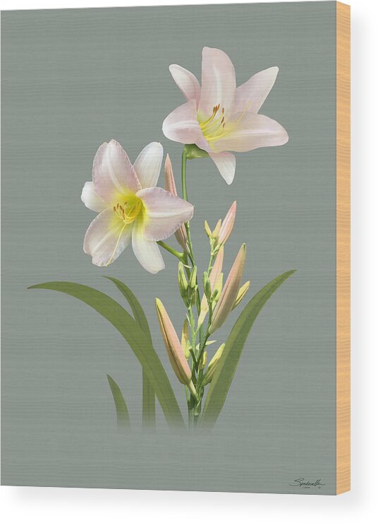 Flower Wood Print featuring the digital art Spade's Daylily by M Spadecaller