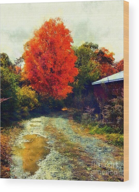 The Hudson Valley Wood Print featuring the photograph Down a Country Road - Autumn by Janine Riley