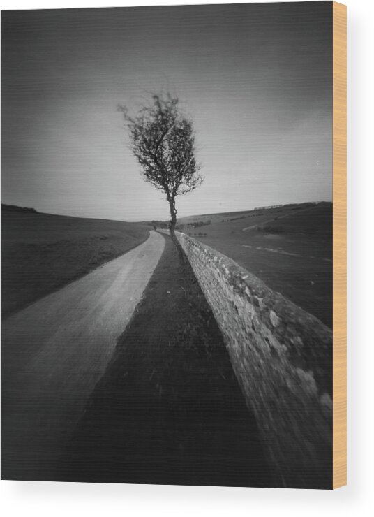 Pinhole Wood Print featuring the photograph Down the road to Crowlink by Will Gudgeon