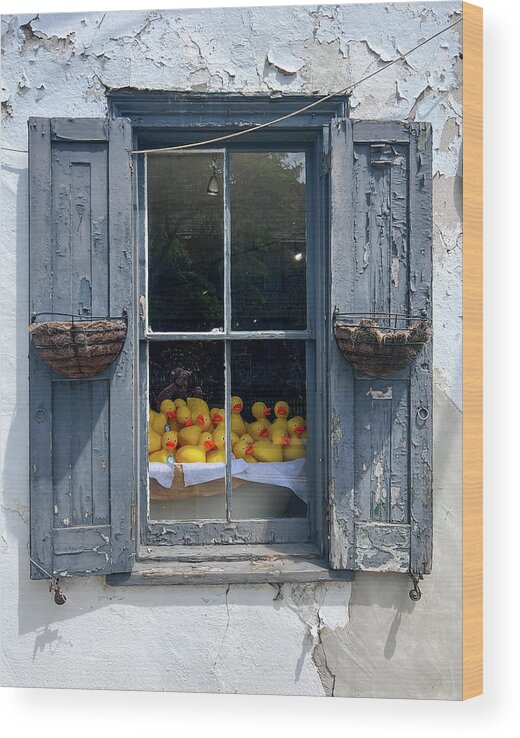 New Hope Wood Print featuring the photograph Duck Window by David Letts