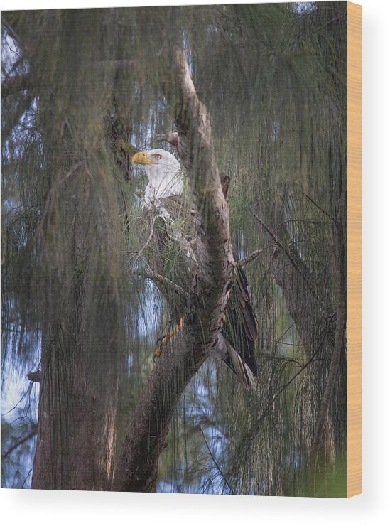 Eagle Wood Print featuring the photograph Eagle in the Mist by Mark Andrew Thomas