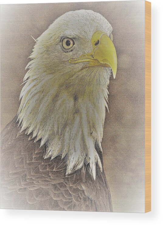 Eagle Eye Close Yellow Feathers Wood Print featuring the photograph Eagle2 by John Linnemeyer