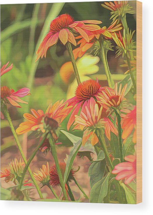 Echinacea Wood Print featuring the photograph Echinacea Garden by Lorraine Baum