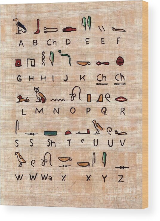 Ancient Wood Print featuring the painting Egyptian Alphabet by Pet Serrano