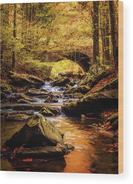 Stream Wood Print featuring the photograph Fall Aglow by SC Shank