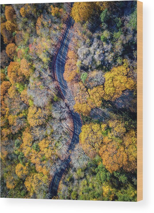 Drone Wood Print featuring the photograph Fall Road by Clinton Ward