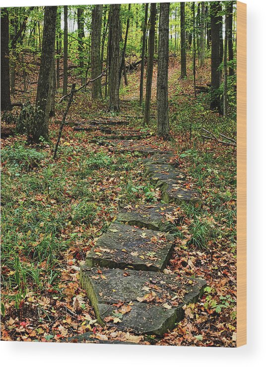 Trees Wood Print featuring the photograph Fall Stone Pathway by Scott Olsen