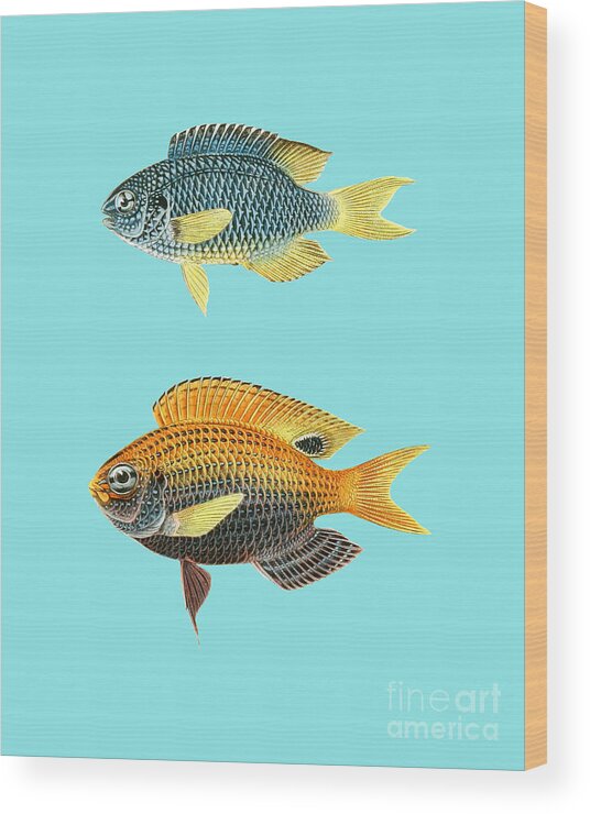 Fish Wood Print featuring the digital art Fish Decor by Madame Memento