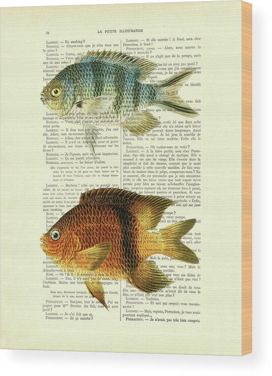 Fish Wood Print featuring the digital art Fish species in color by Madame Memento
