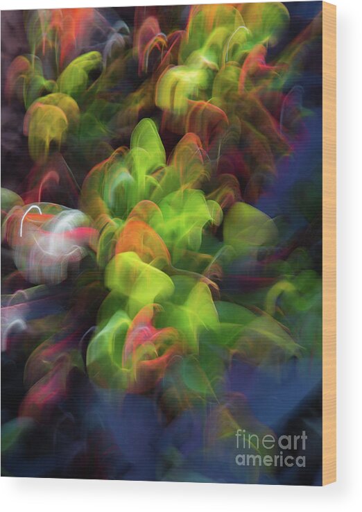 Colors Wood Print featuring the photograph Floral Rainbow by Neala McCarten
