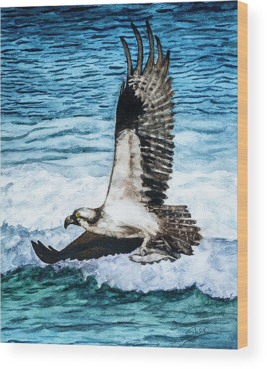 American Bald Eagles Wood Print featuring the painting Flying Home With Dinner - Watercolor Art by Sher Nasser