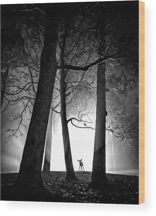 Fine Art Wood Print featuring the photograph Friendship II by Sofie Conte