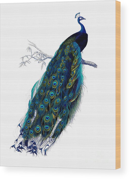 Peacock Wood Print featuring the digital art Graceful Peacock by Madame Memento
