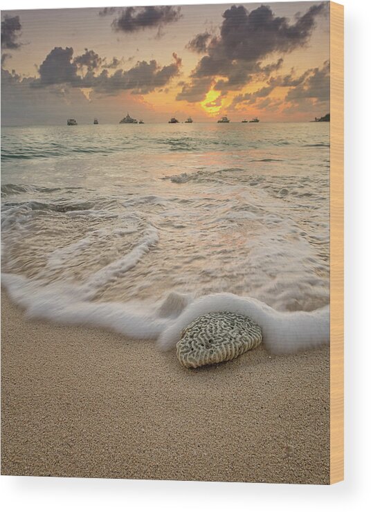 3scape Wood Print featuring the photograph Grand Cayman Beach Coral Waves at Sunset by Adam Romanowicz