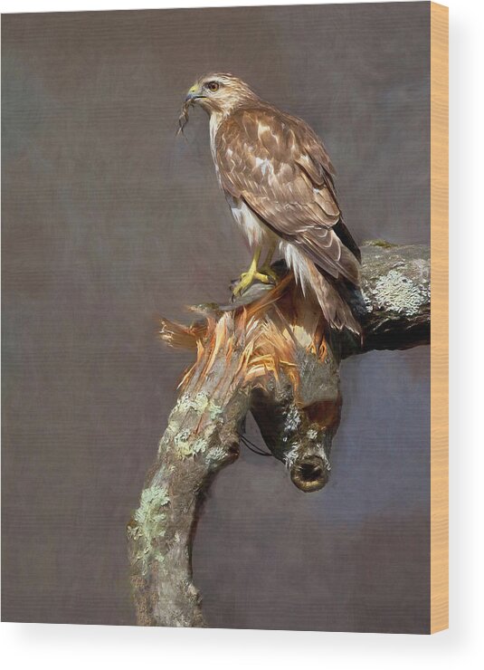 Hawk Wood Print featuring the photograph Hawk and Frog by Art Cole