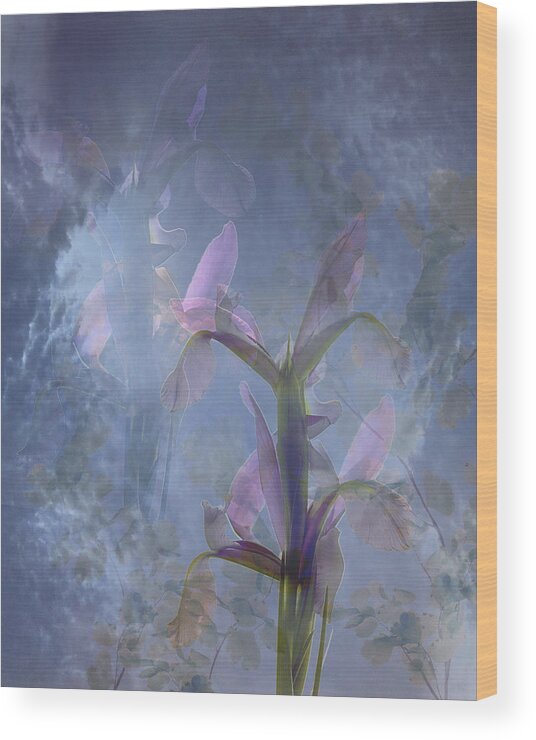 Clouds Wood Print featuring the photograph Heavenly Iris by Marsha Tudor