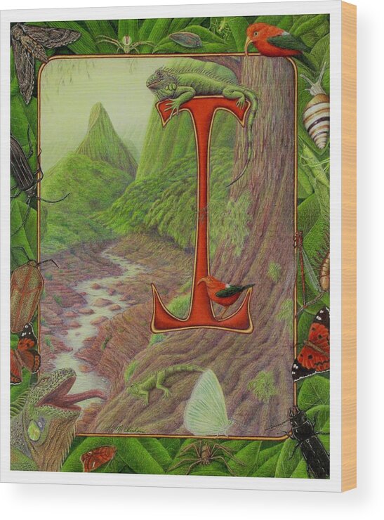 Kim Mcclinton Wood Print featuring the drawing I is for Iguana by Kim McClinton