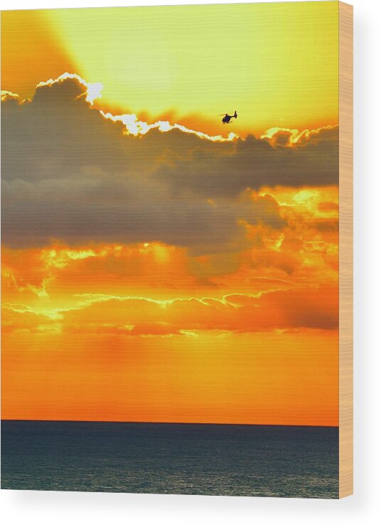 Flying Wood Print featuring the photograph Into the Sun by Sarah Lilja