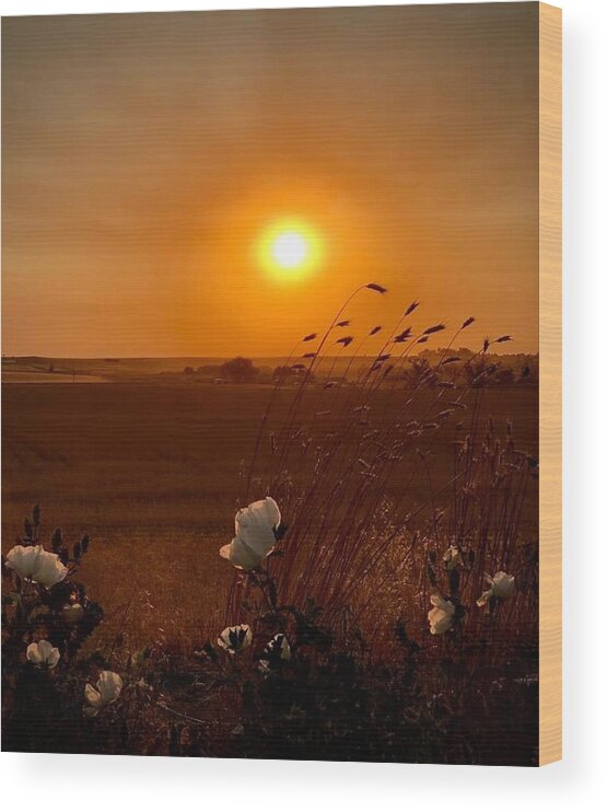 Iphonography Wood Print featuring the photograph iPhonography Sunset 1 by Julie Powell