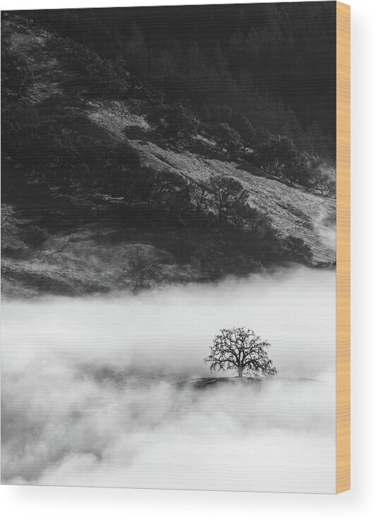 Landscapes Wood Print featuring the photograph Isolated by Shelby Erickson