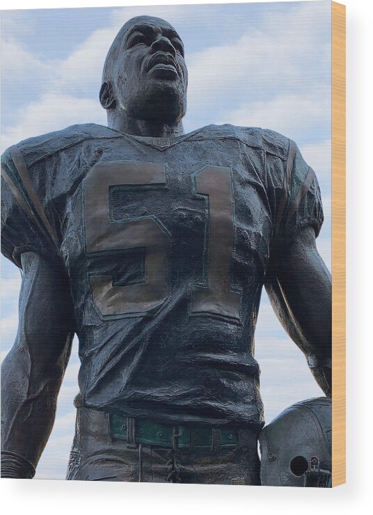 Sam Mills Wood Print featuring the photograph Keep Pounding by Lee Darnell