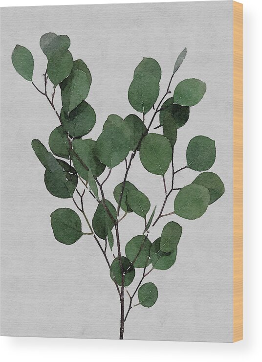 Green Wood Print featuring the painting Large Eucalyptus Leaf Stem by Rachel Elise