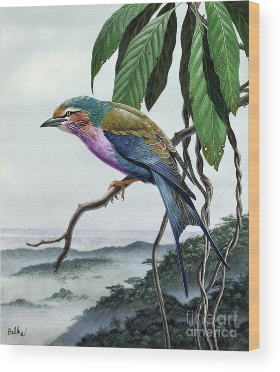 Wildlife Wood Print featuring the painting Lilac-breasted Roller by Don Balke