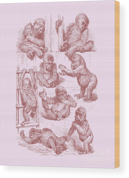 Monkey Wood Print featuring the digital art Little Monkeys by Madame Memento