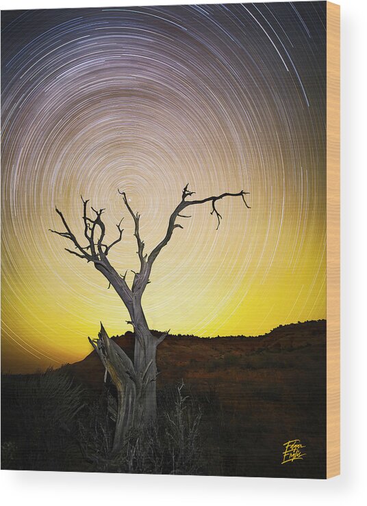 Amaizing Wood Print featuring the photograph Lone Tree by Edgars Erglis