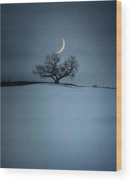 Photography Wood Print featuring the photograph Lover's Moon by Aaron J Groen