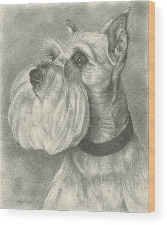 Mini Wood Print featuring the drawing Miniature Schnauzer by Lena Auxier