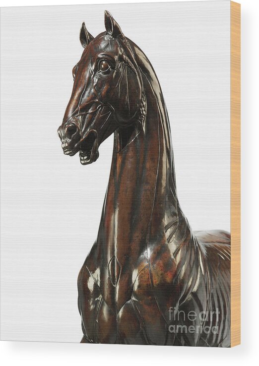 Horse Wood Print featuring the sculpture Model of an ecorche horse, after the Mattei Horse of the 1580s by Giambologna