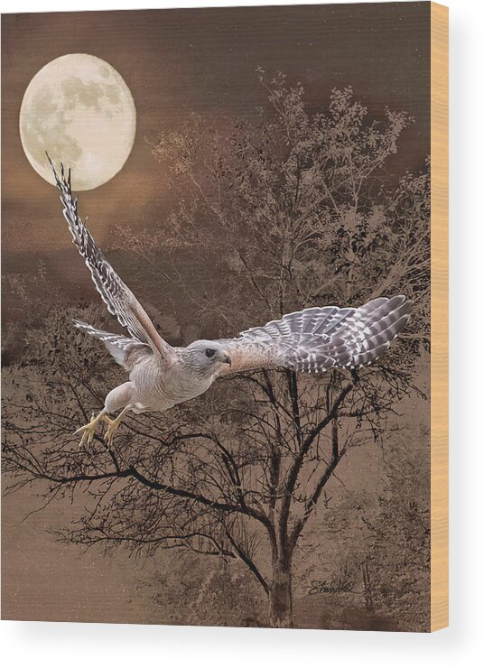 Bird Wood Print featuring the photograph Night Hawk by Shara Abel