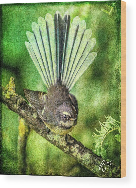 Bird Wood Print featuring the photograph N.Z. Fantail 2 by Roseanne Jones
