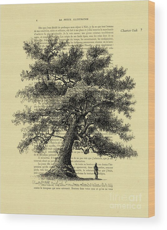 Oak Wood Print featuring the mixed media Oak Tree On An Antique French Book Page by Madame Memento