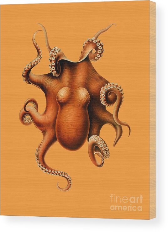 Octopus Wood Print featuring the digital art Octopus In Orange by Madame Memento