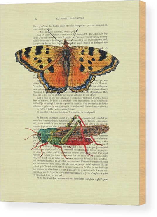 Butterfly Wood Print featuring the digital art Orange butterfly and grasshopper artwork by Madame Memento