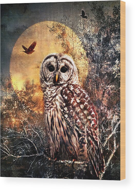 Photography Wood Print featuring the photograph Owl in Moonlight by Shara Abel