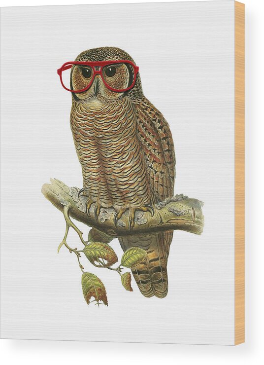 Owl Wood Print featuring the digital art Owl with red glasses by Madame Memento
