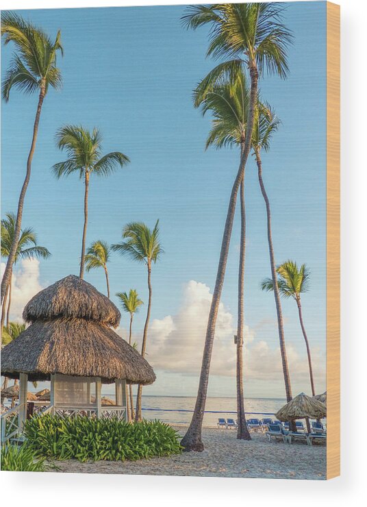 Water Wood Print featuring the photograph Palms at the Beach by Betty Eich