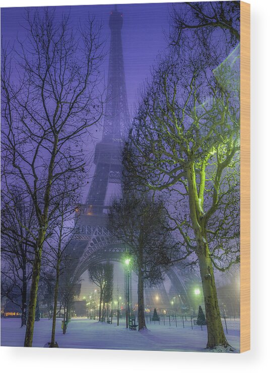 Champ De Mars Wood Print featuring the photograph Paris In The Snow by Serge Ramelli