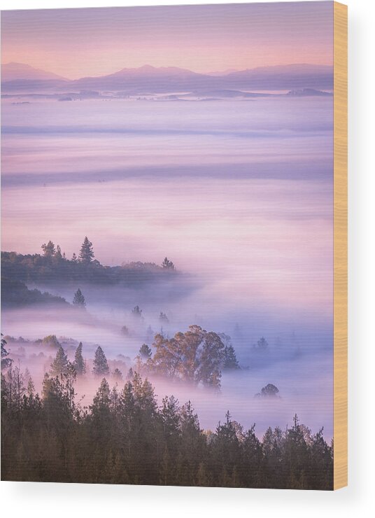 Fog Wood Print featuring the photograph Pastel Dreams by Shelby Erickson