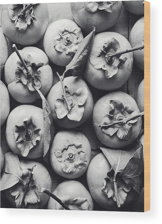 Persimmon Wood Print featuring the photograph Persimmon Harvest by Lupen Grainne