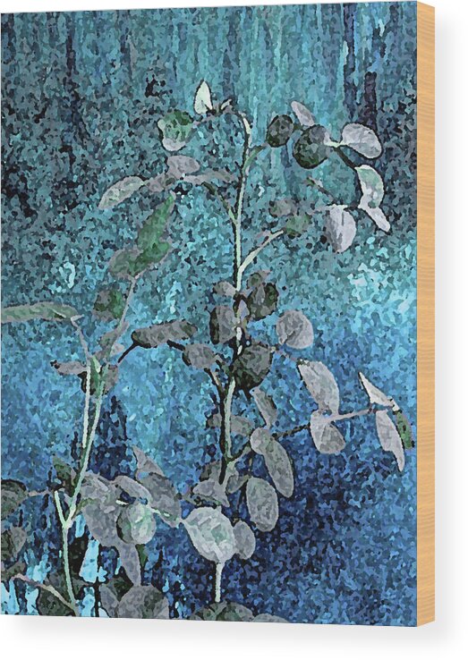Plant Wood Print featuring the photograph Plant in Blue Light by Corinne Carroll