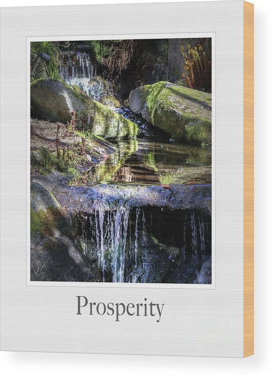 Waterfall Wood Print featuring the photograph Prosperity by D Lee